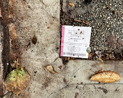 A lottery ticket is lying on a textured concrete surface beside fallen leaves, suggesting it is outdoors. The ground is a mix of dark, wet patches and dry, cracked cement with scattered debris around the ticket.